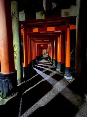 Torii gates