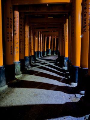 Torii gates