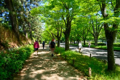 Walking to the Botanical Gardens