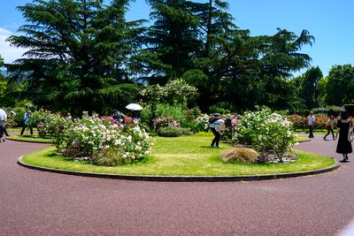Rose Garden
