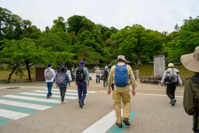 Walking to the castle