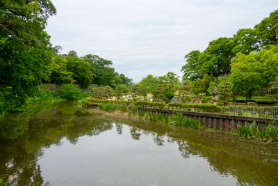 Moat