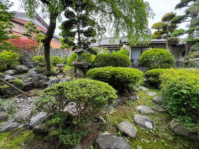 The Garden