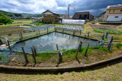 Fish pond
