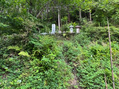 Family plot