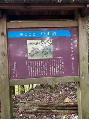 Story