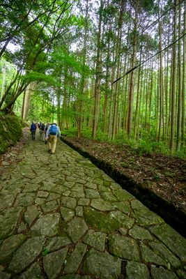 Nakasendō way