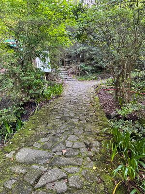 Path