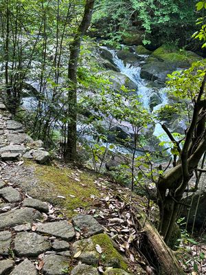 Cascade