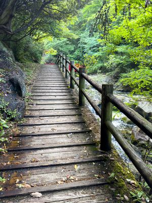 Trail