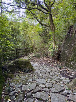Path