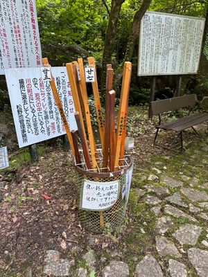 Walking Sticks