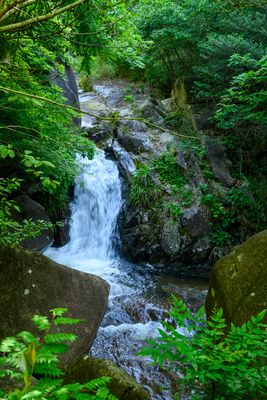 Cascade
