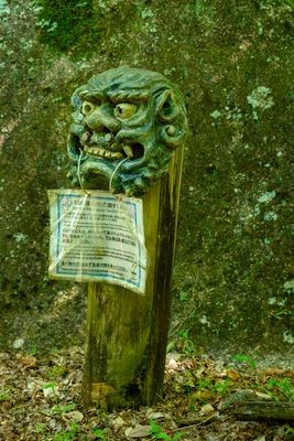 Devil Warning