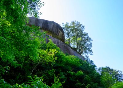 Eroded Granite