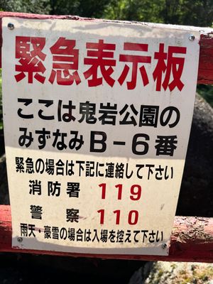 Emergency Numbers