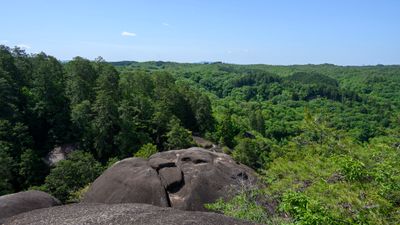 View point