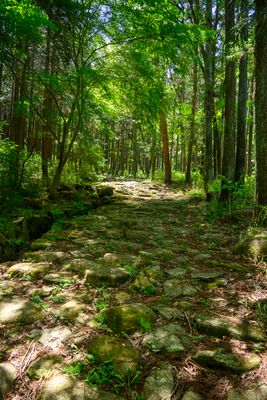 Nakasendō way