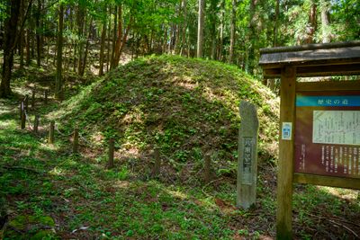 Yasezawa Milestone
