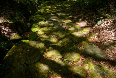 Stone path