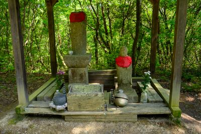 Trailside Buddhist