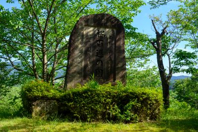 Marker