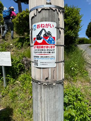 Worried telephone wire