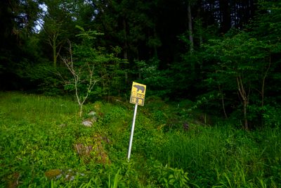Bear warning