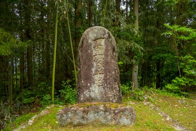Marker