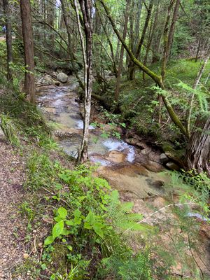 creek