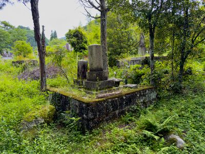 Family Plots