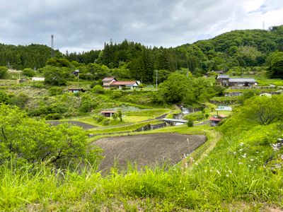 Fields