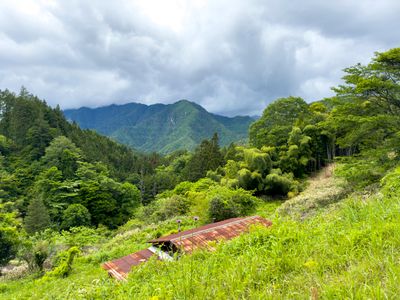 Nakasendō way