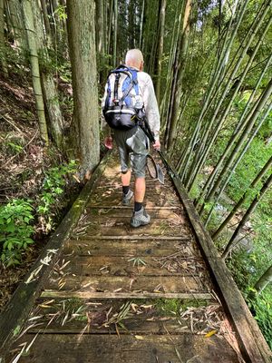 Slippery Wooden trail