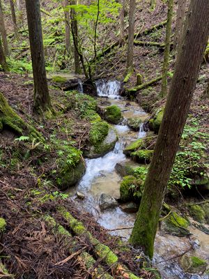 creek