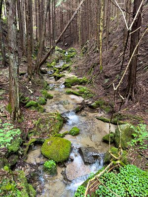 creek