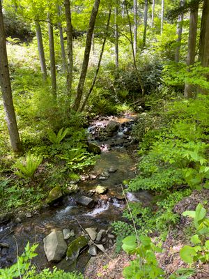 creek