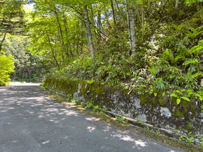 Nakasendō way