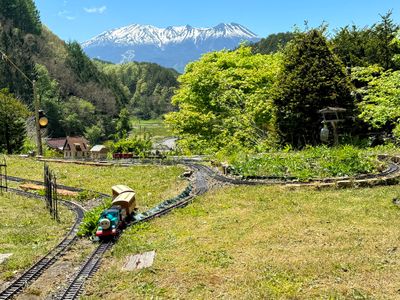 Train with a view