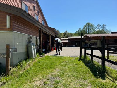Kiso Horse country