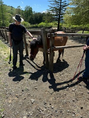 Kiso Horse country