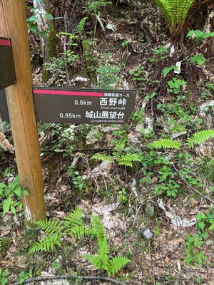 Nakasendō way