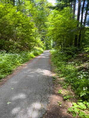 Nakasendō way