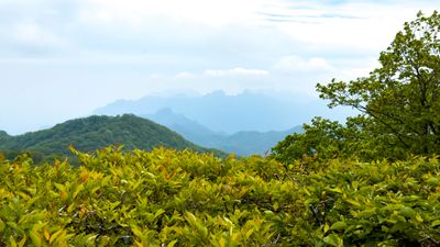 Usui Pass Observation Platform