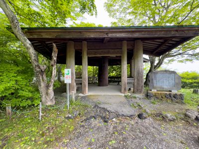 Shelter