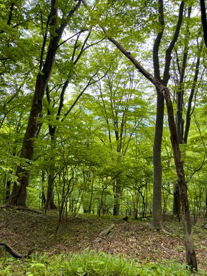 Nakasendō way