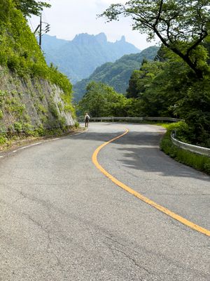 Nakasendo Walker