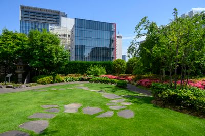 Roof top garden