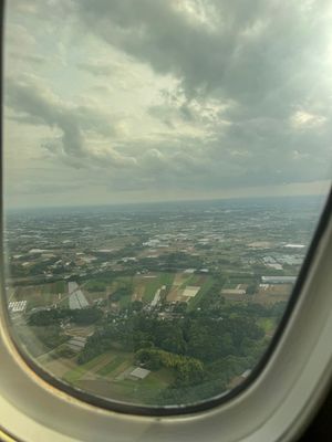 Goodby Japan