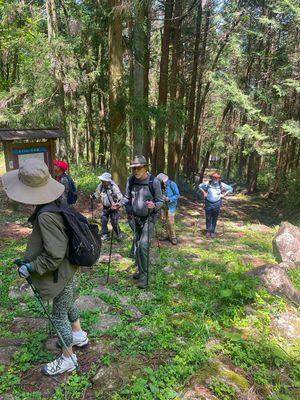Nakasendo Way